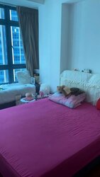 City Square Residences (D8), Condominium #518421451